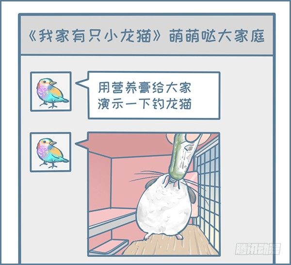 钓龙猫的故事1
