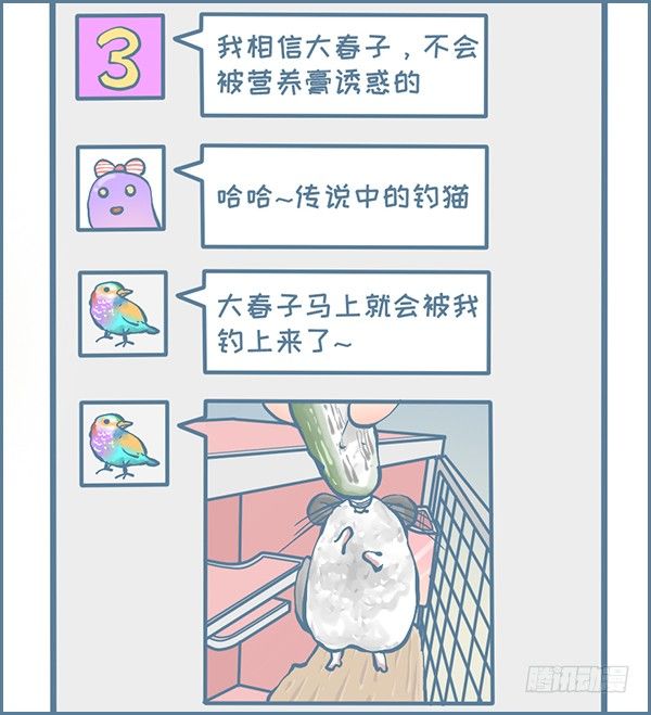钓龙猫的故事2