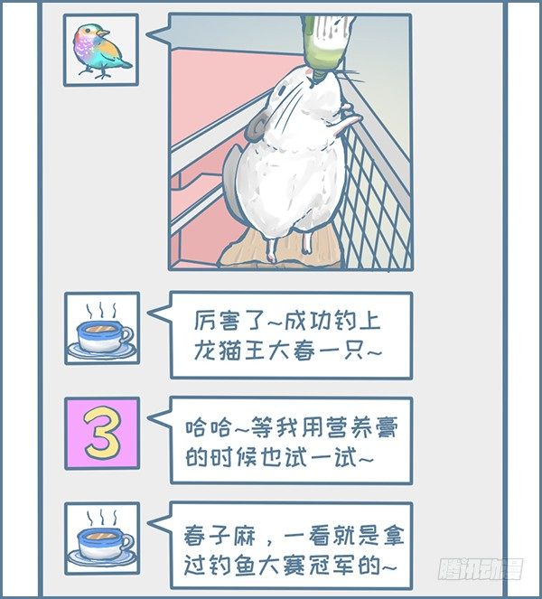 钓龙猫的故事3