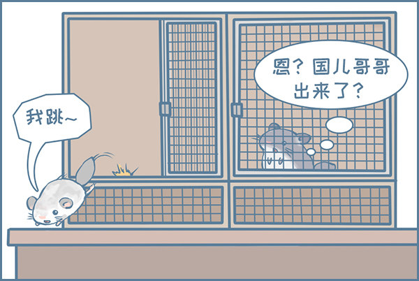 龙猫国儿“越狱”记（1）3