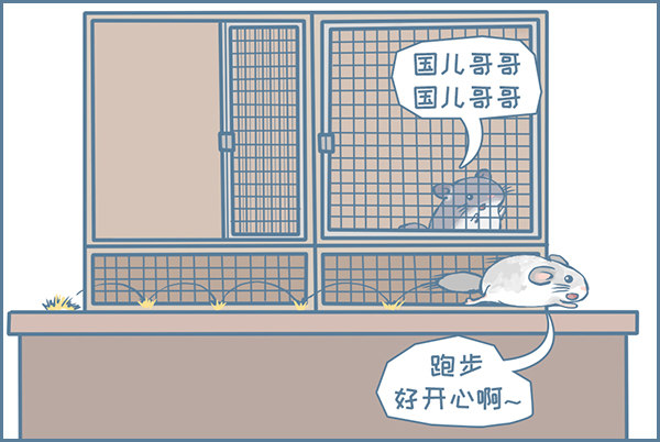 龙猫国儿“越狱”记（1）4