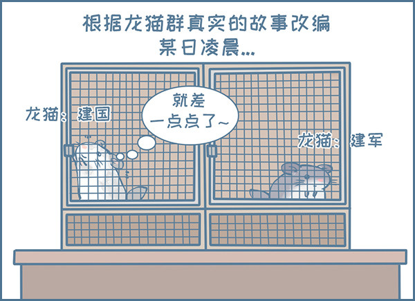 龙猫军军告状（1）0