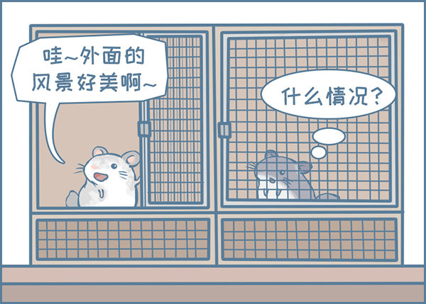 龙猫军军告状（1）2