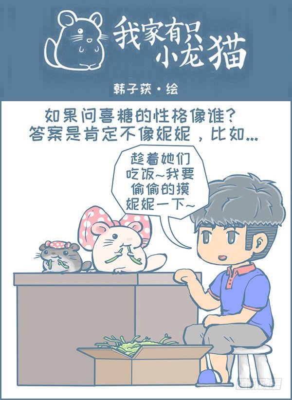 佛系妮妮（上）0