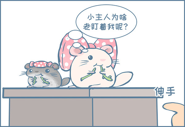 佛系妮妮（上）1