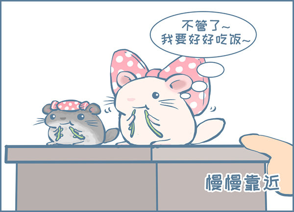 佛系妮妮（上）2