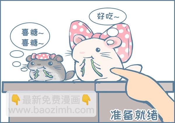 佛系妮妮（上）3
