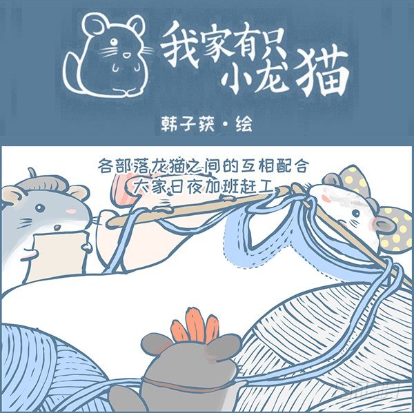 鼠年龙猫族的礼物（4）0