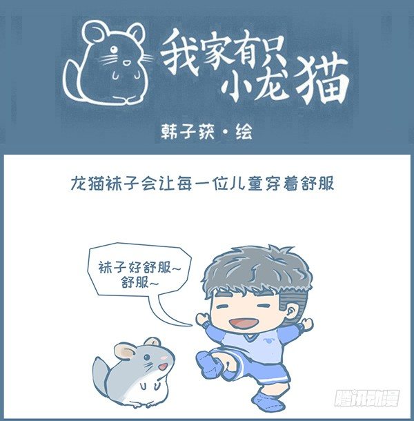 鼠年龙猫族的礼物（4）5