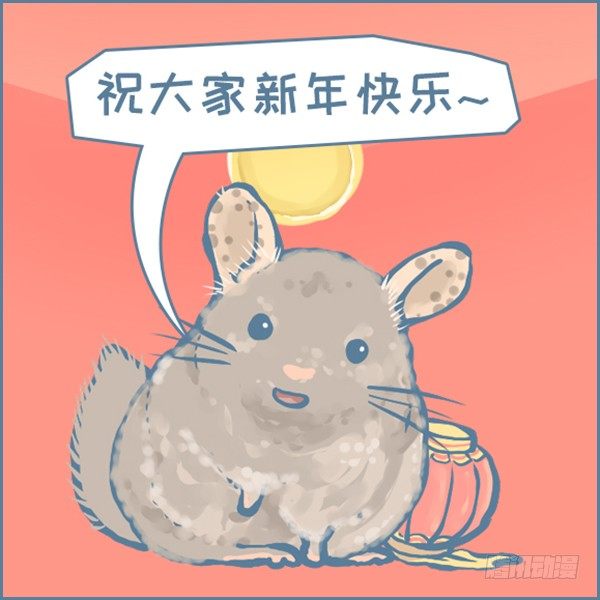 真实世界龙猫的祝福（上）0