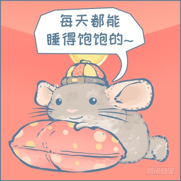 真实世界龙猫的祝福（上）2