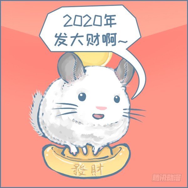 真实世界龙猫的祝福（上）6