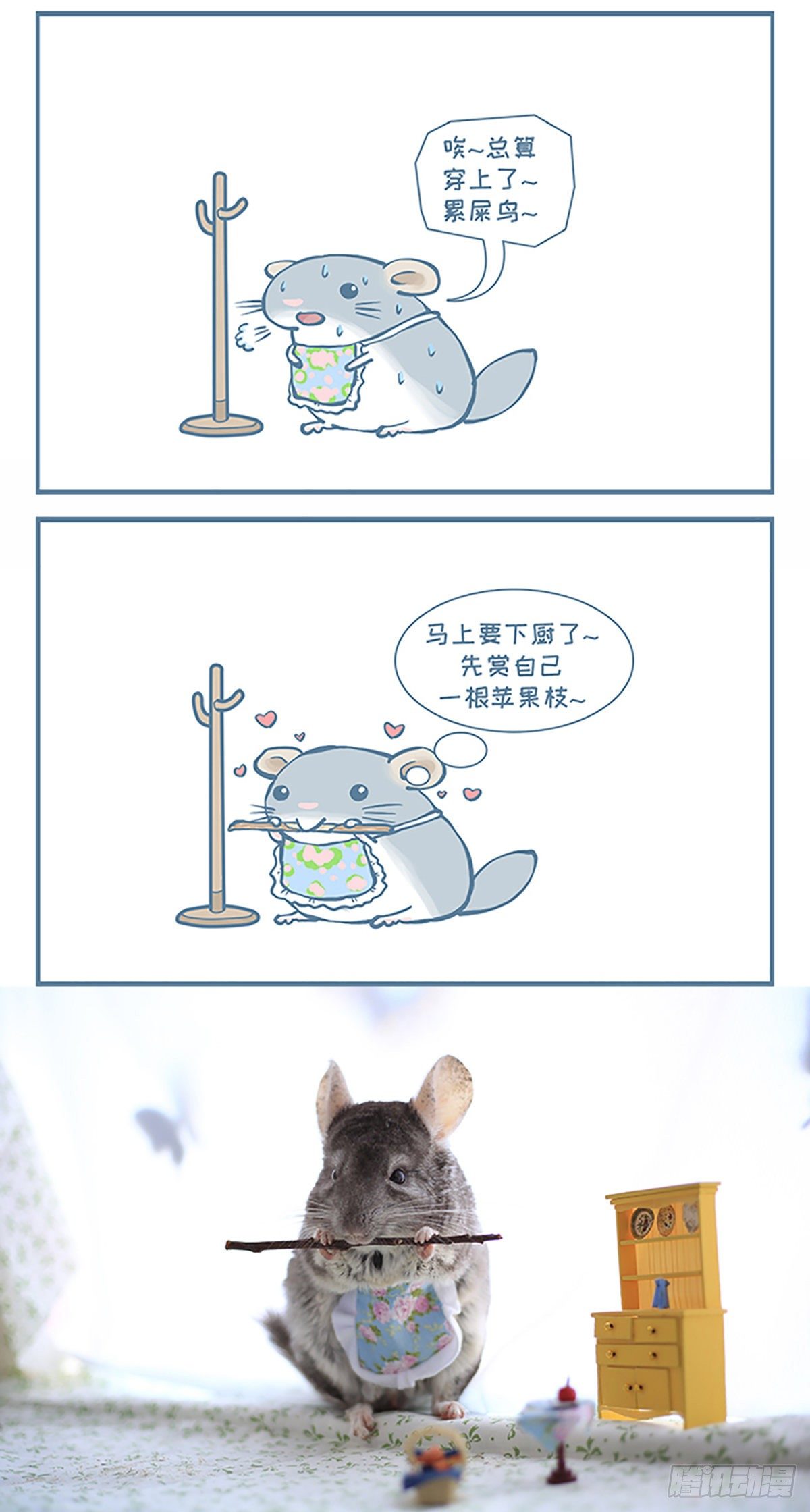 龙猫“大脸”要下厨了（上）2