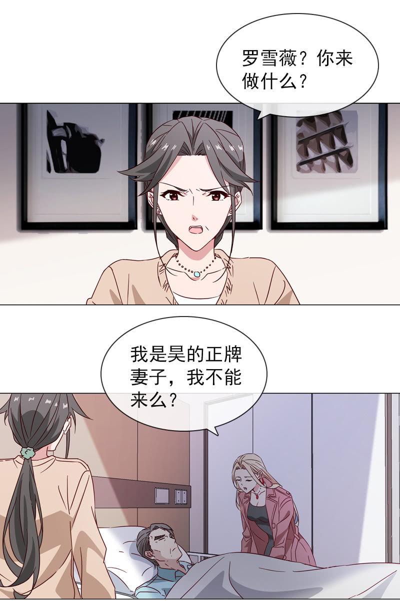 罗雪薇的阴谋1