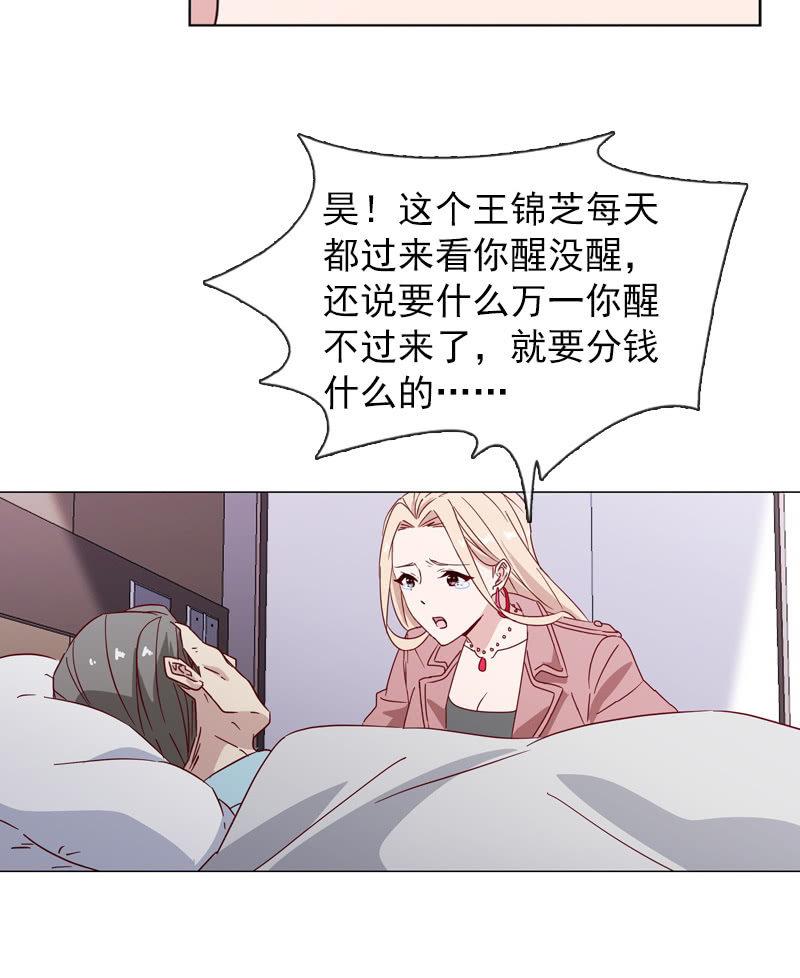 罗雪薇的阴谋9