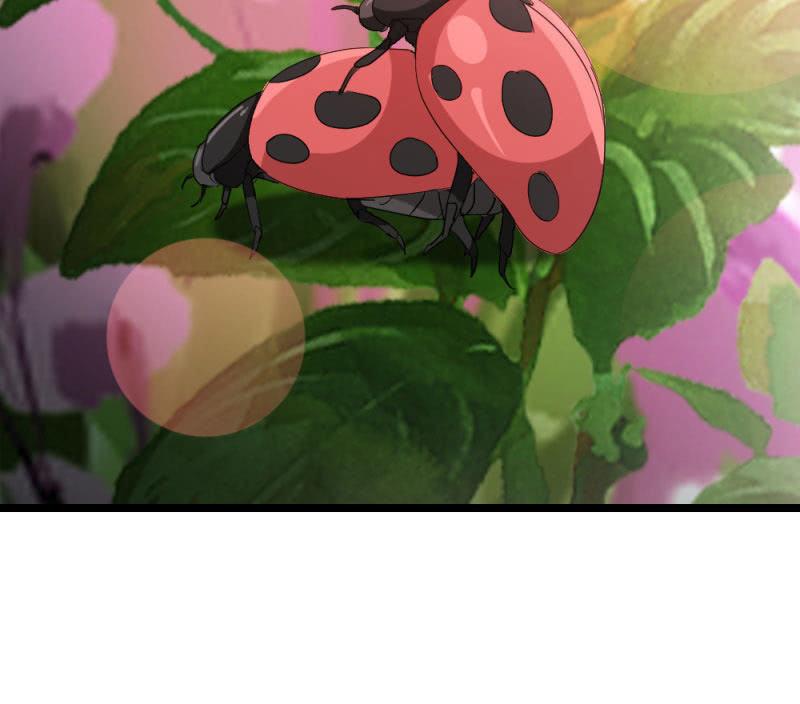 昏迷27