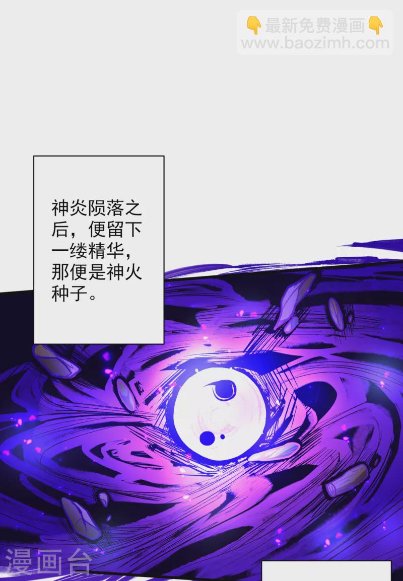 第45话 神火种子19