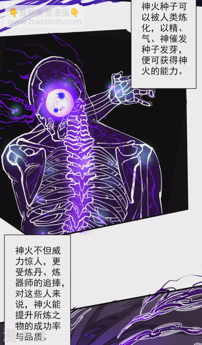 第45话 神火种子20