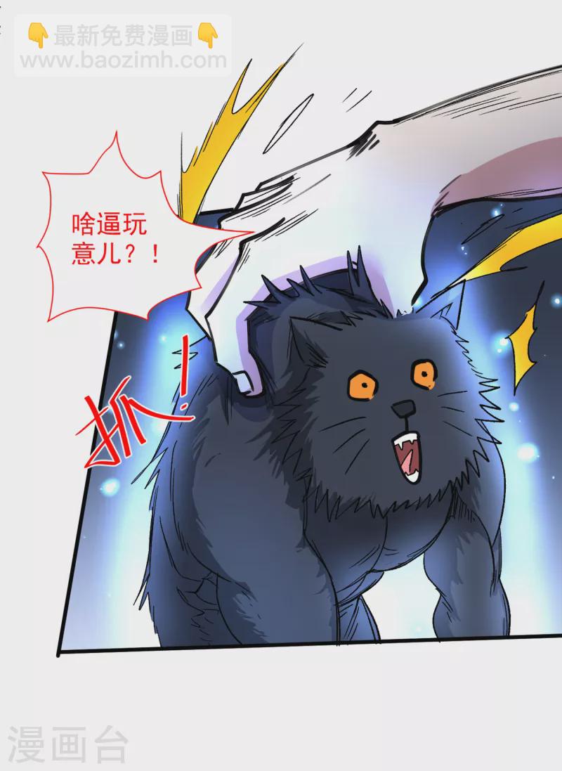 第55话 超凡境野猫！？24