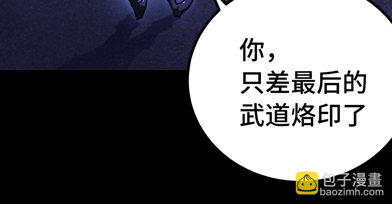 第167话 流星114