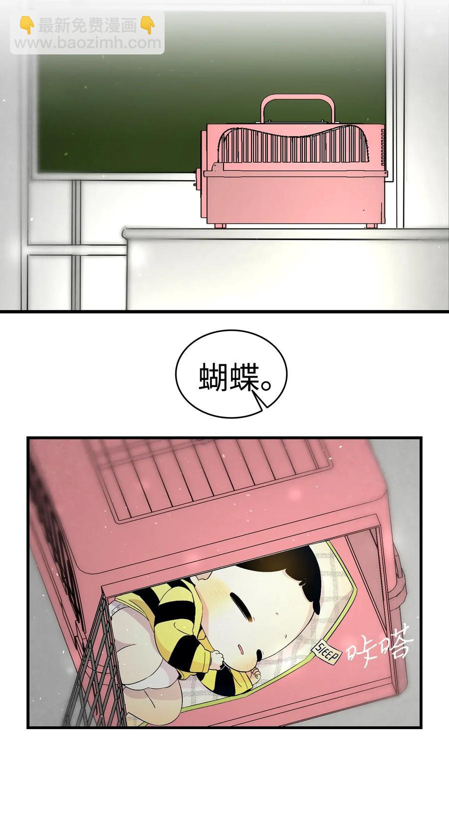 32 接蝴蝶回家7