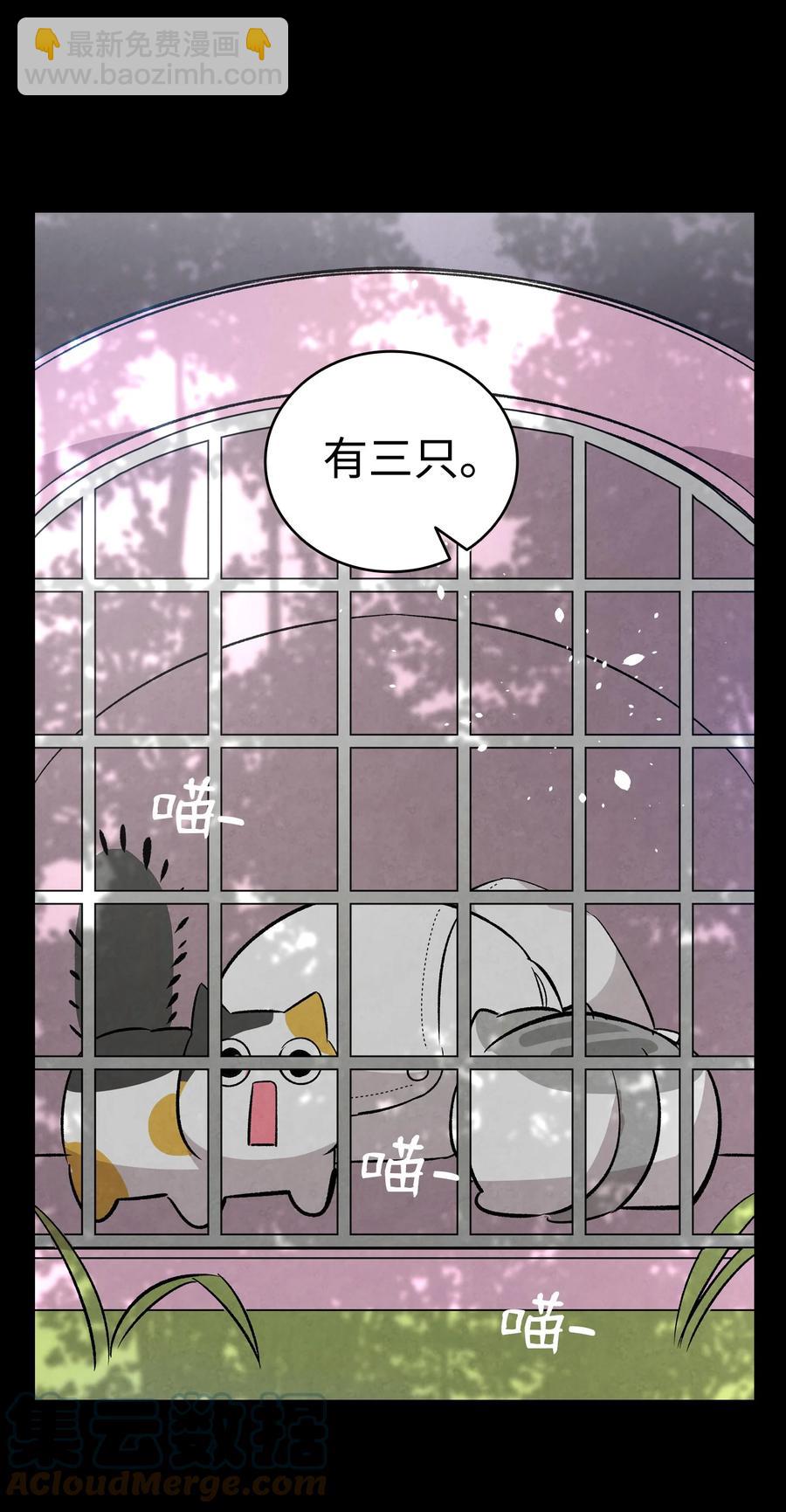 97 她不是猪67