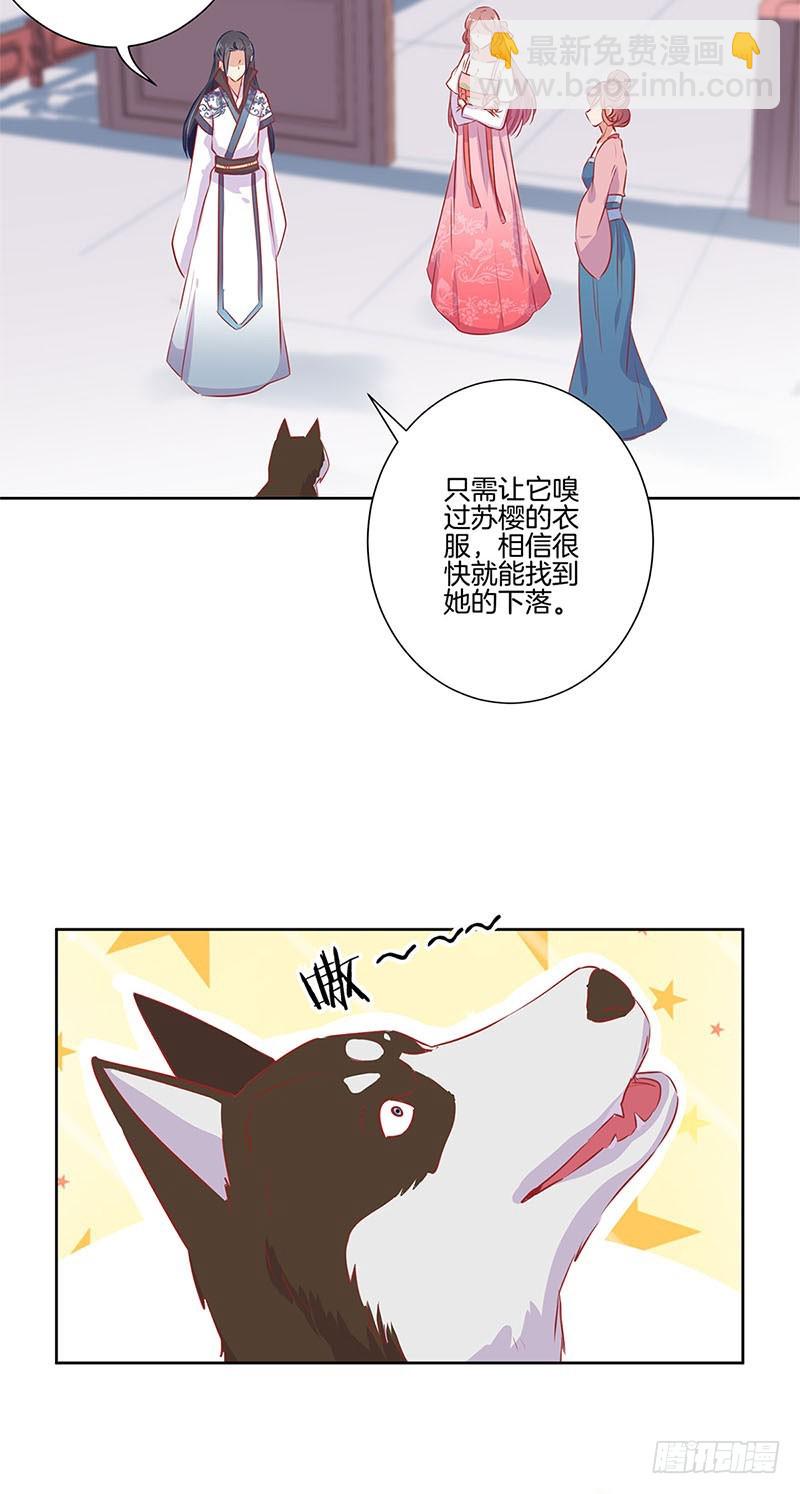 第66话 寻找苏樱20