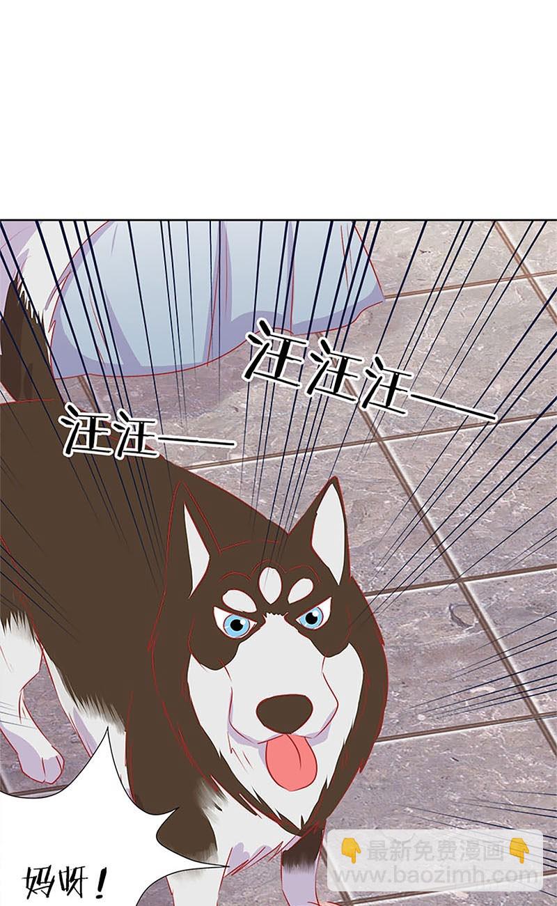 第66话 寻找苏樱7