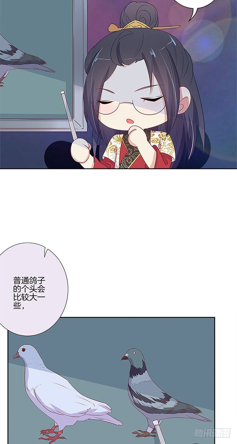 第77话 回娘家3