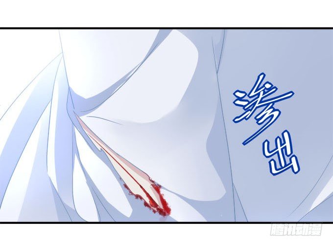 第五话：想伤她？先过了我这关！65