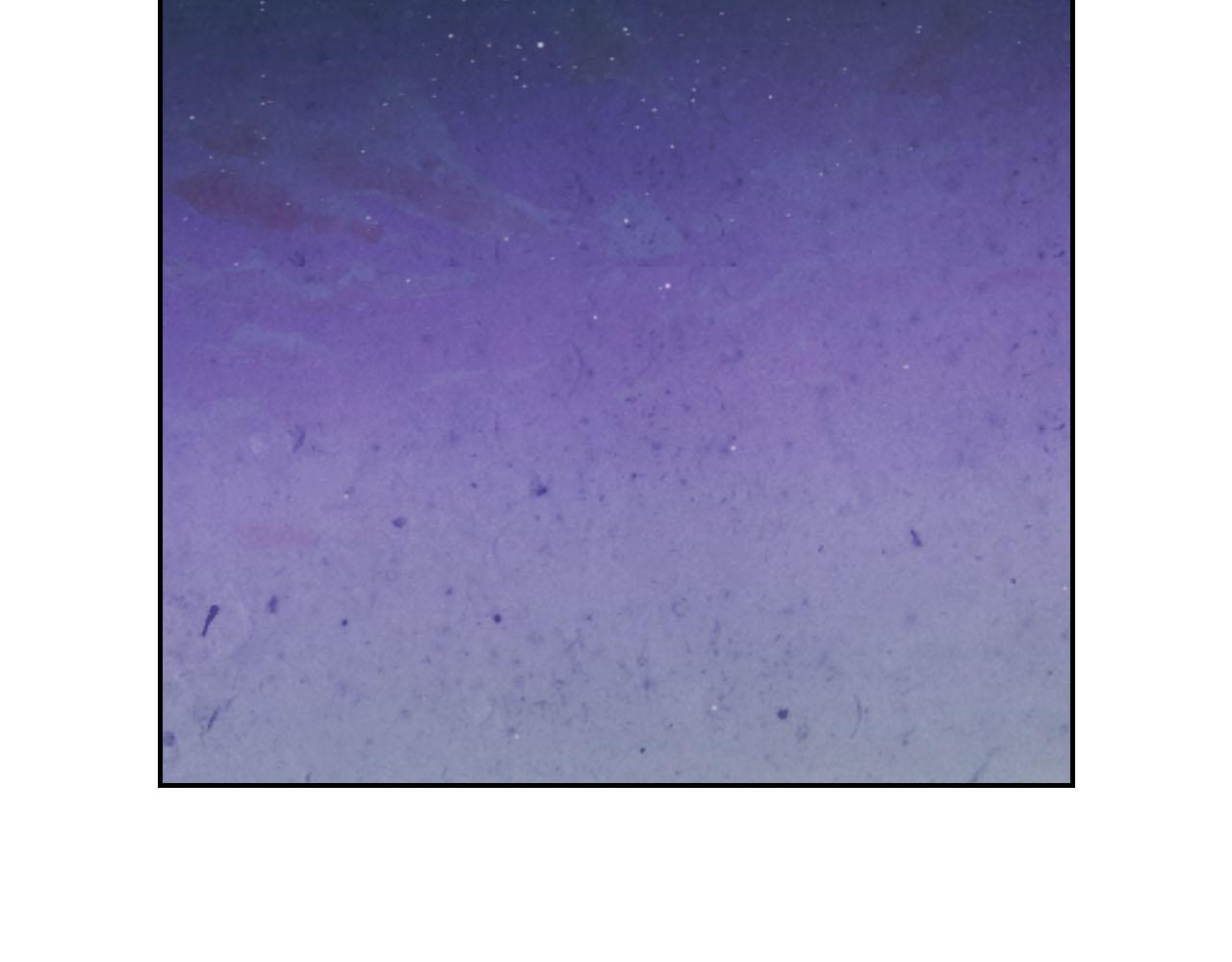 第89话 怀孕？68