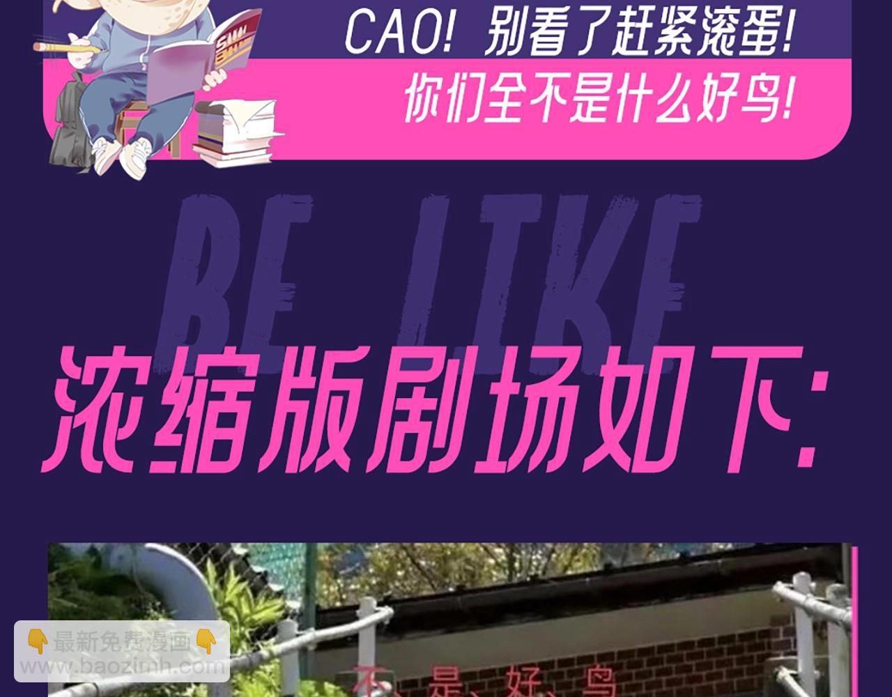 第6期 整活企划：来自“不是好鸟”的围观16