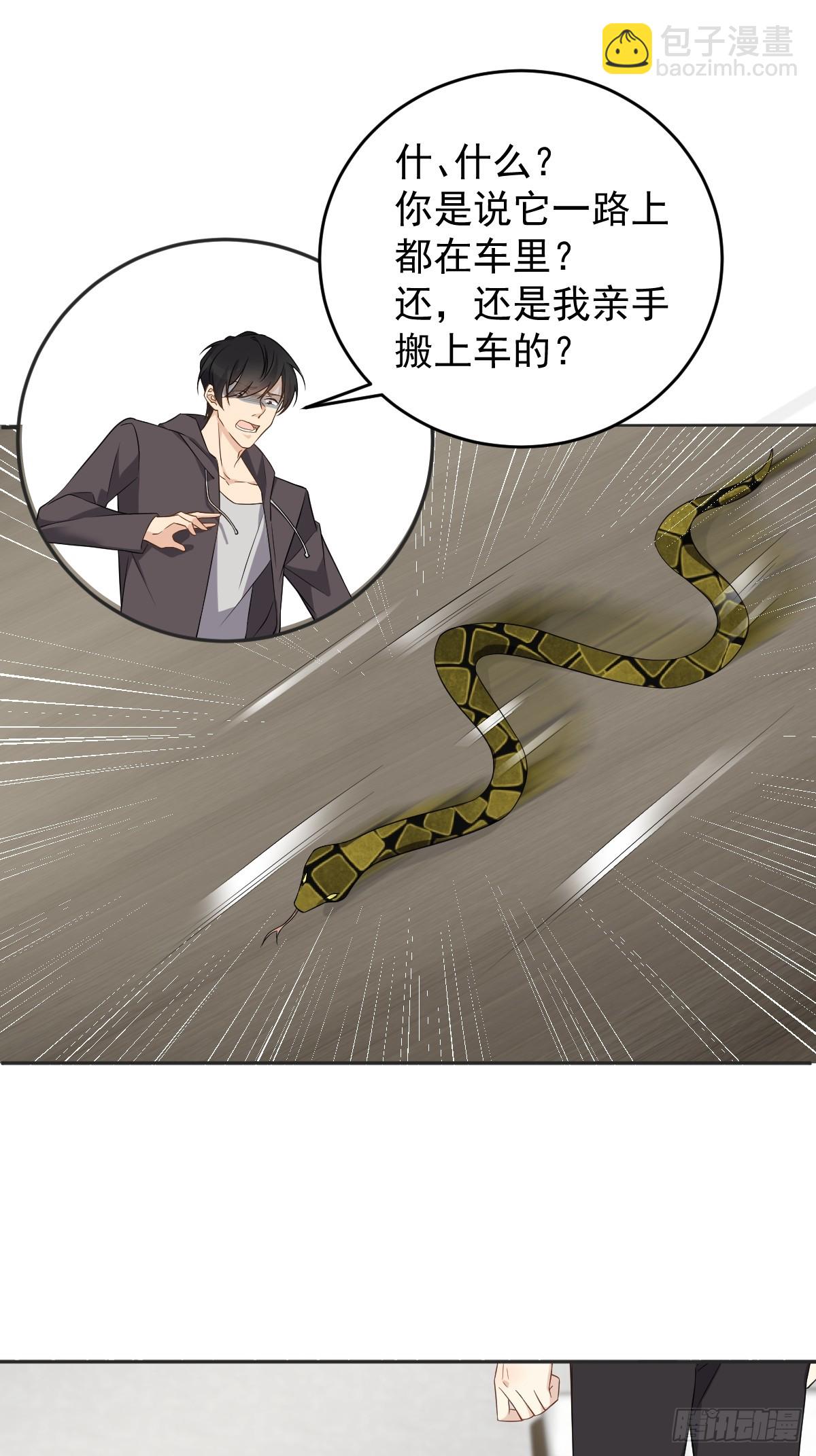 第206话 蛇11