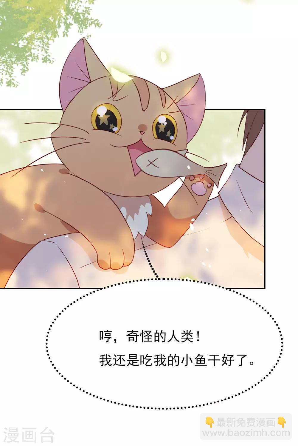 第5话 退婚？故事就崩了！6