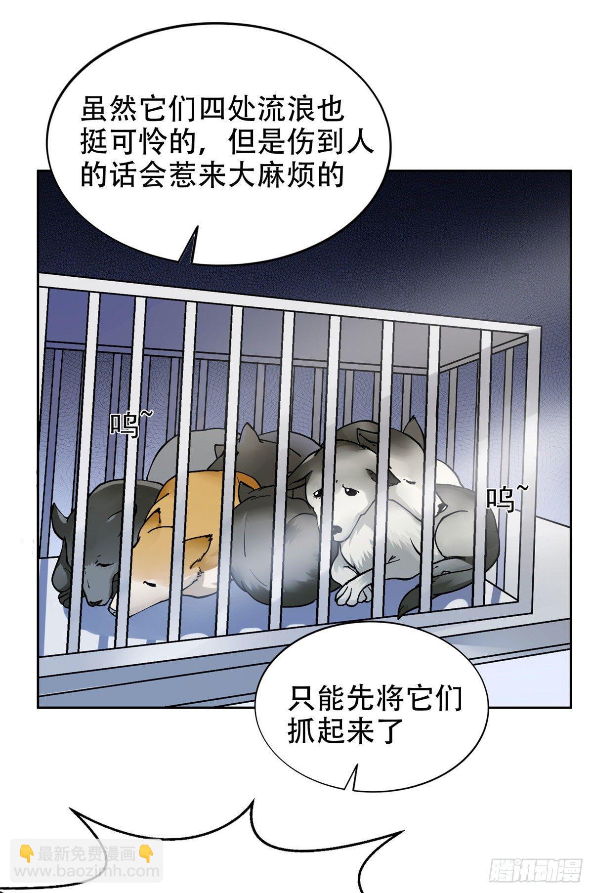 13 我相信你12