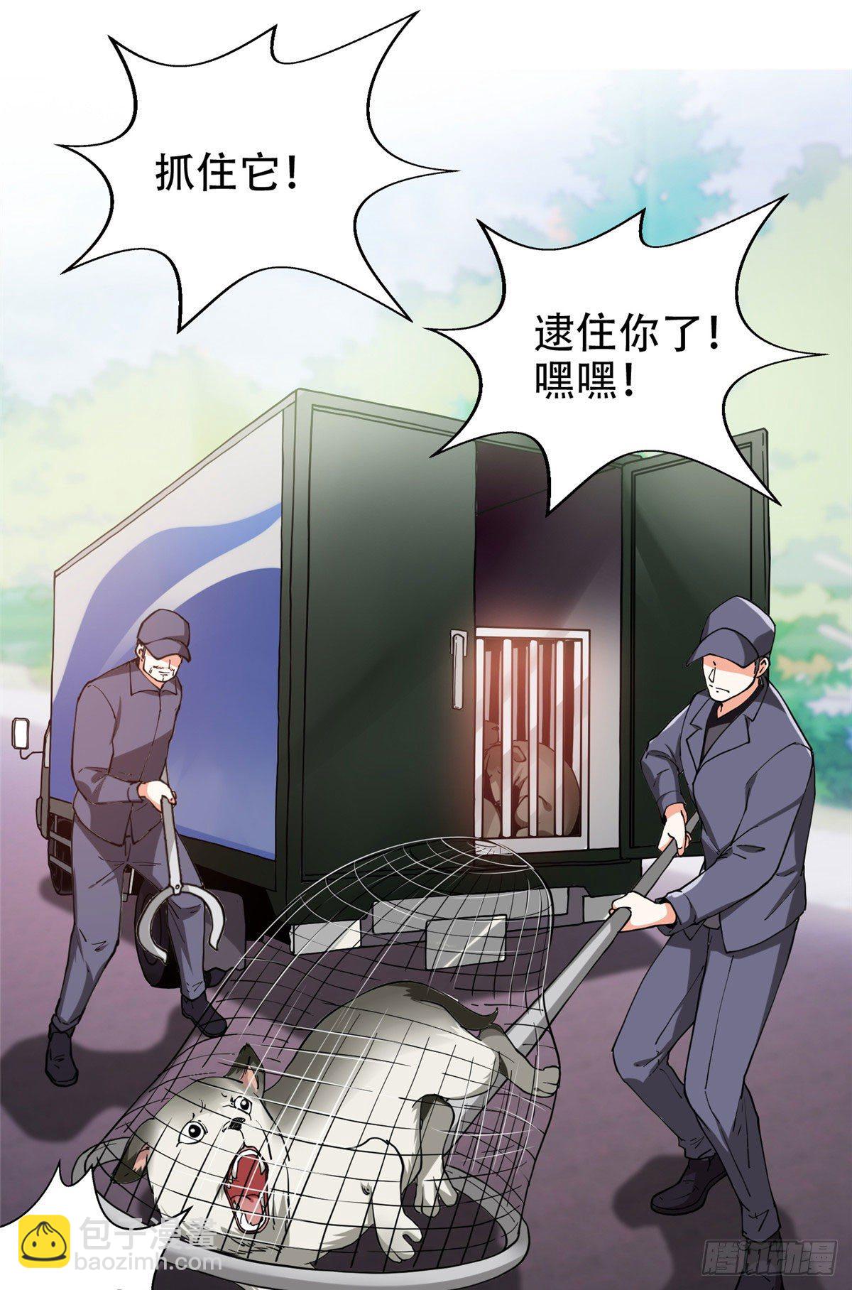 13 我相信你9
