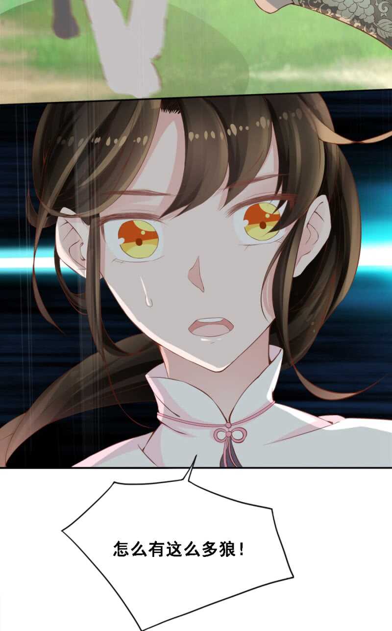 被算计12