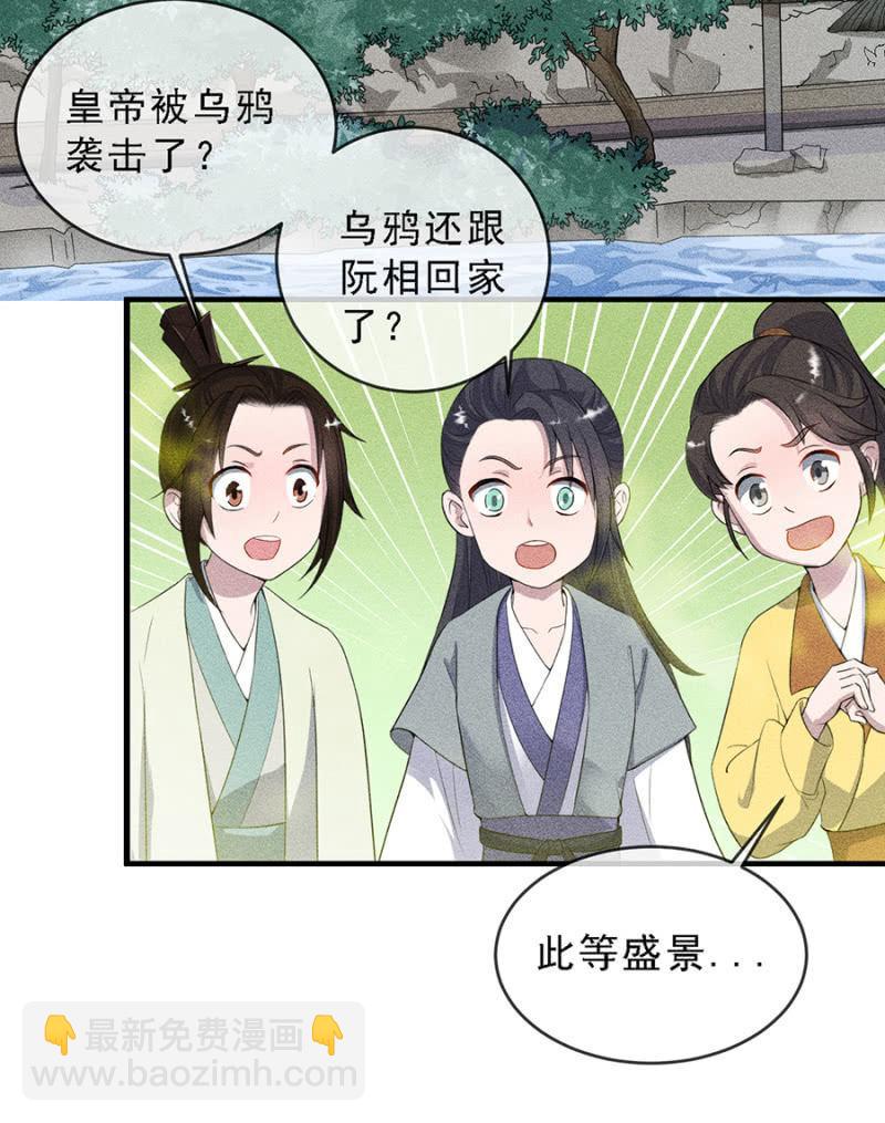 真是一场好戏5