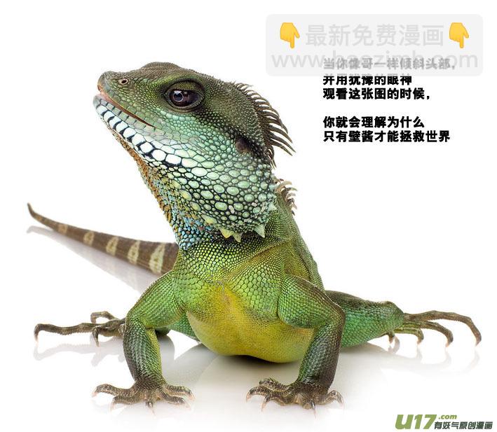 40）一起进入18