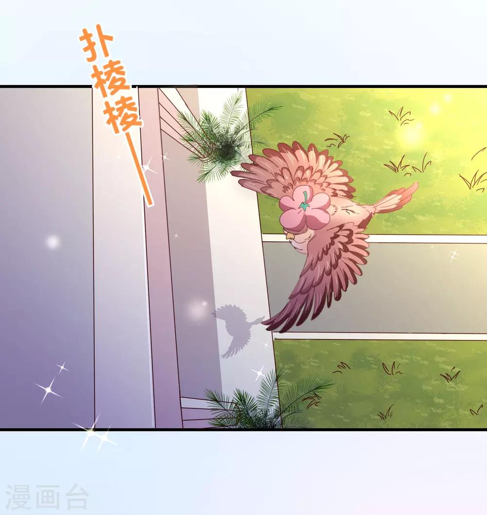 第117话 追夫18