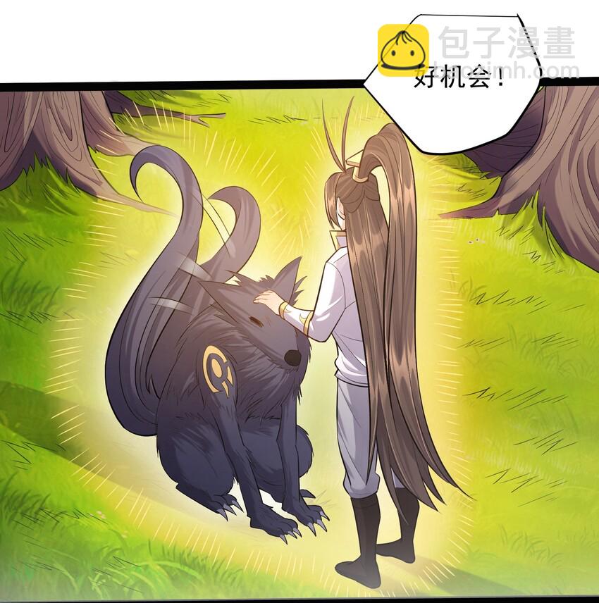 025 有其主必有其宠物12
