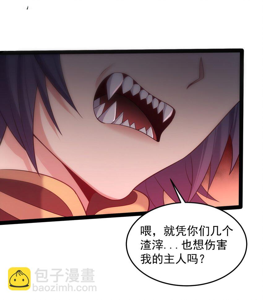 025 有其主必有其宠物19