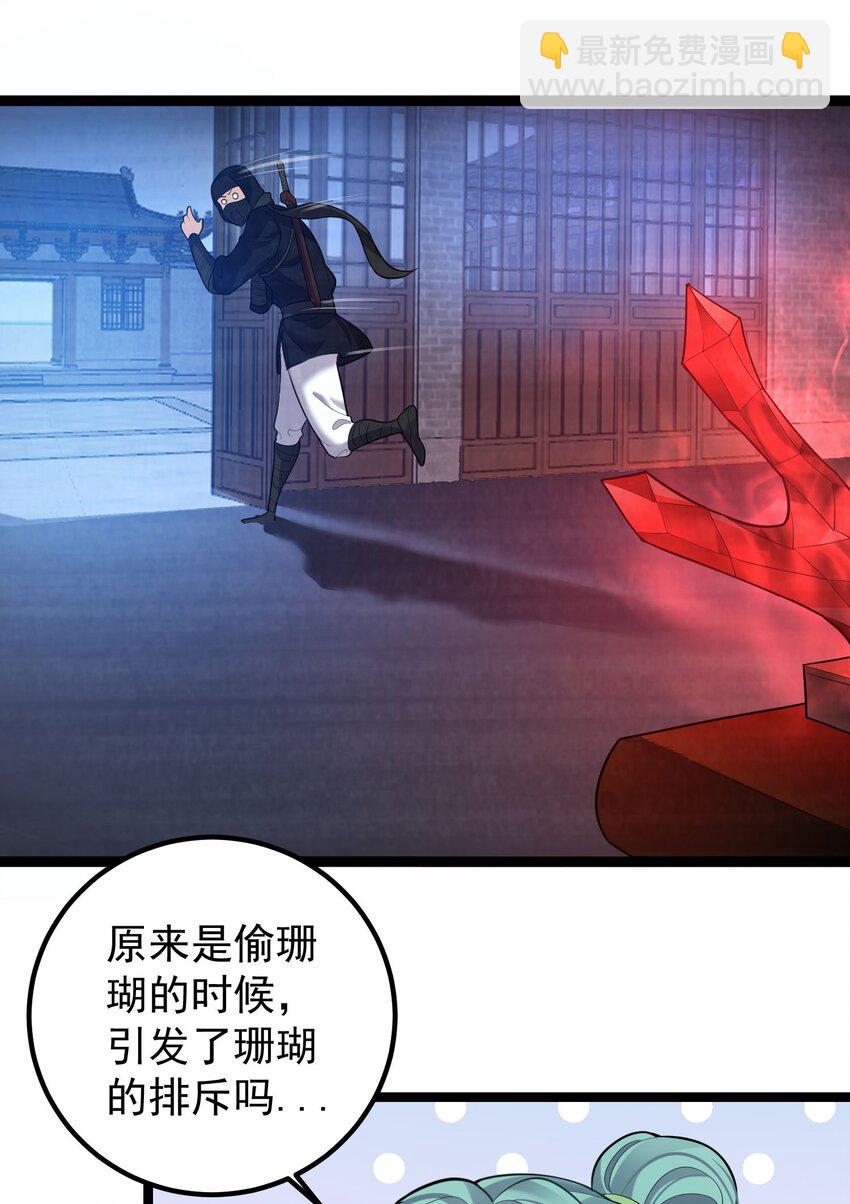 073 黑衣盗贼29