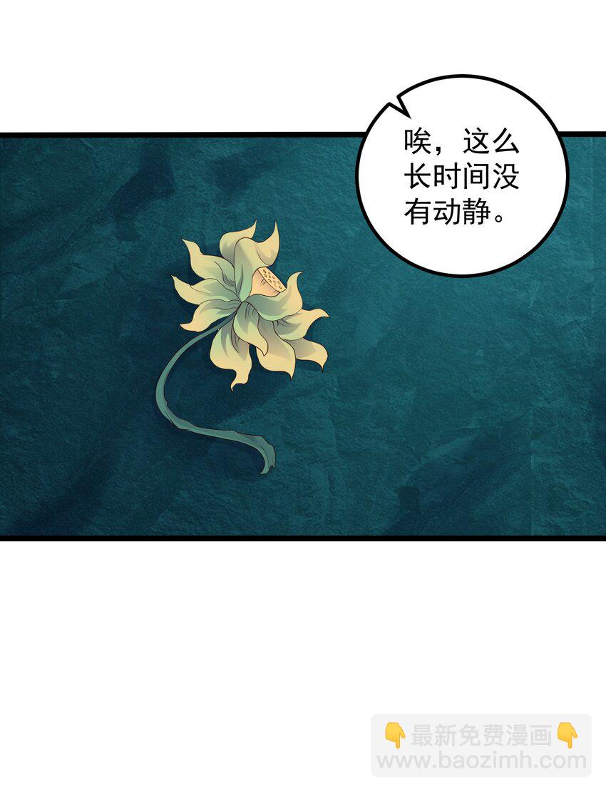 167 莲雅柔23