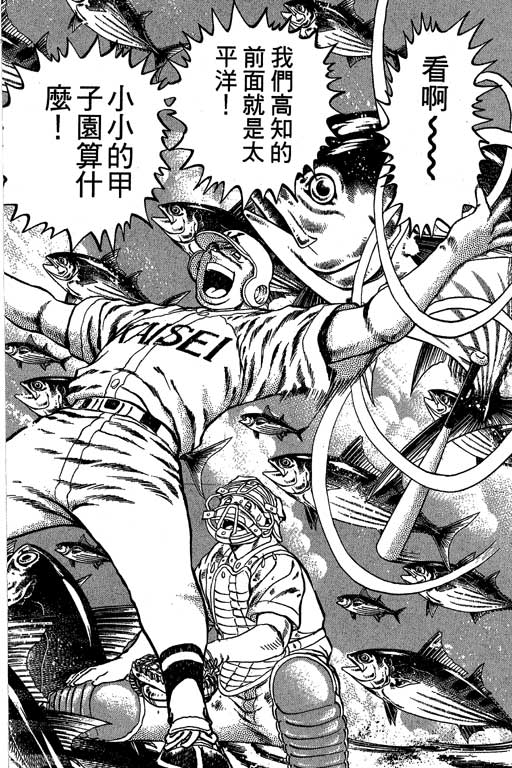 VOL33136