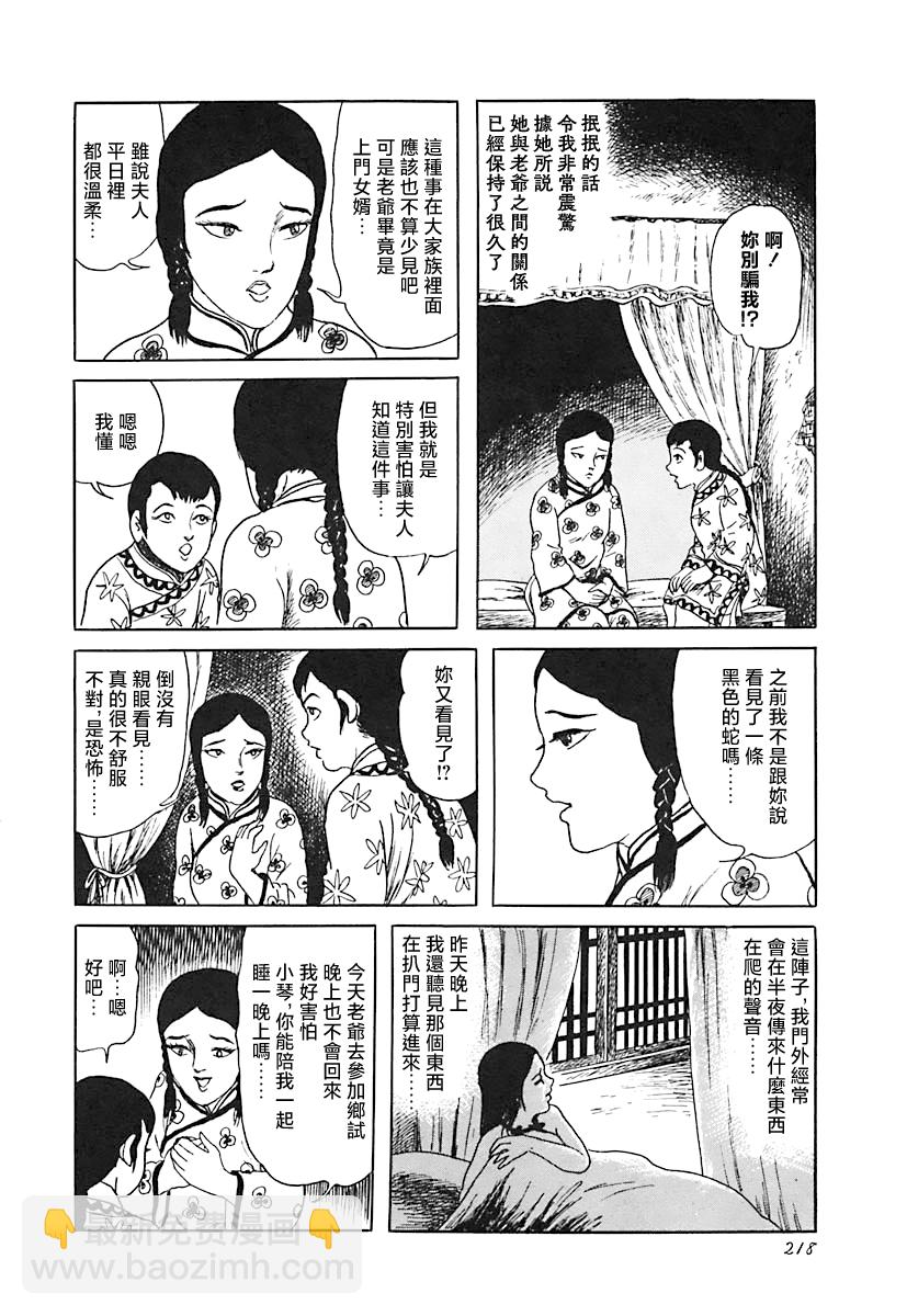 毛家怪影11