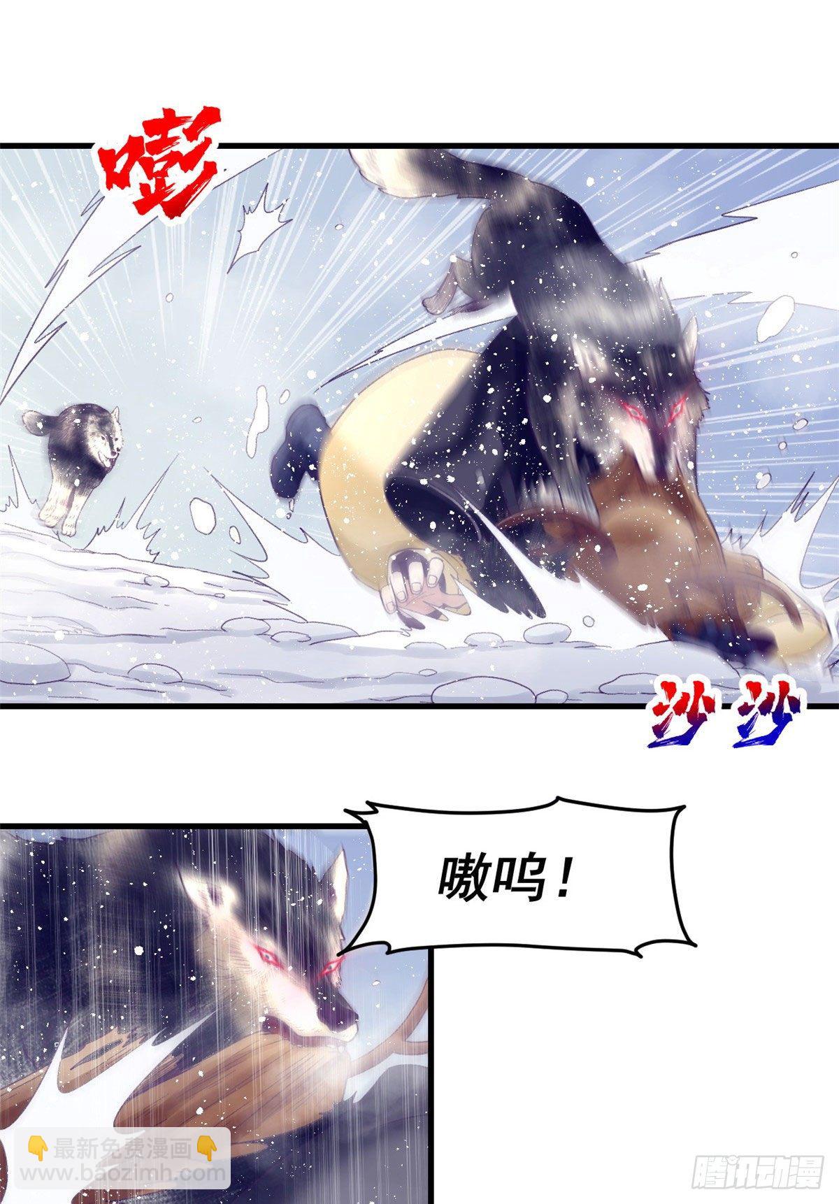17 为了她17