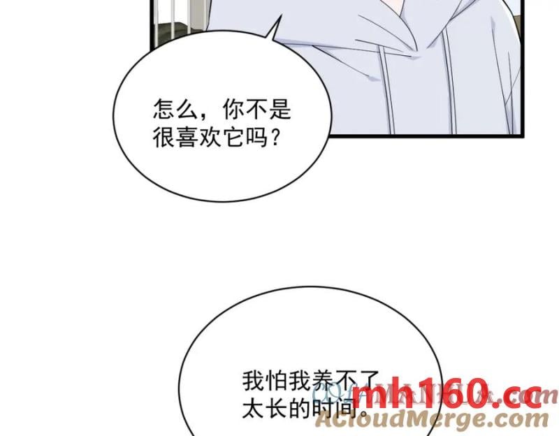 第184话 暴风雨前的宁静36