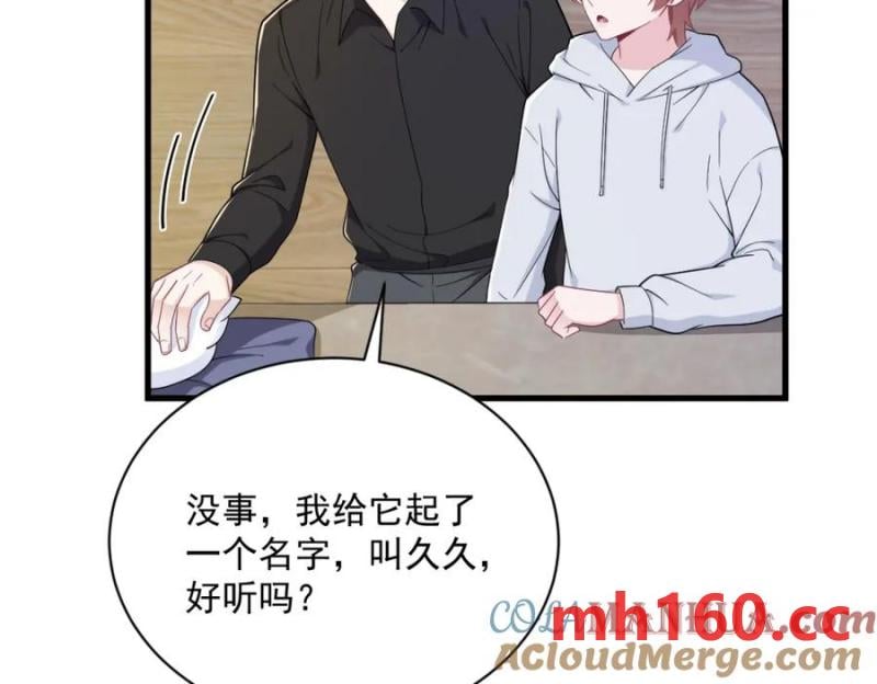 第184话 暴风雨前的宁静39