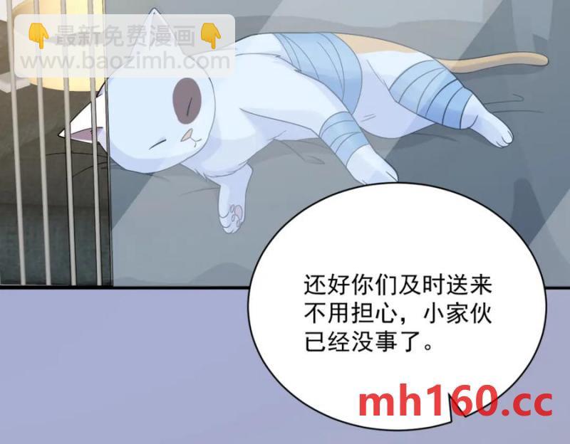 第184话 暴风雨前的宁静5